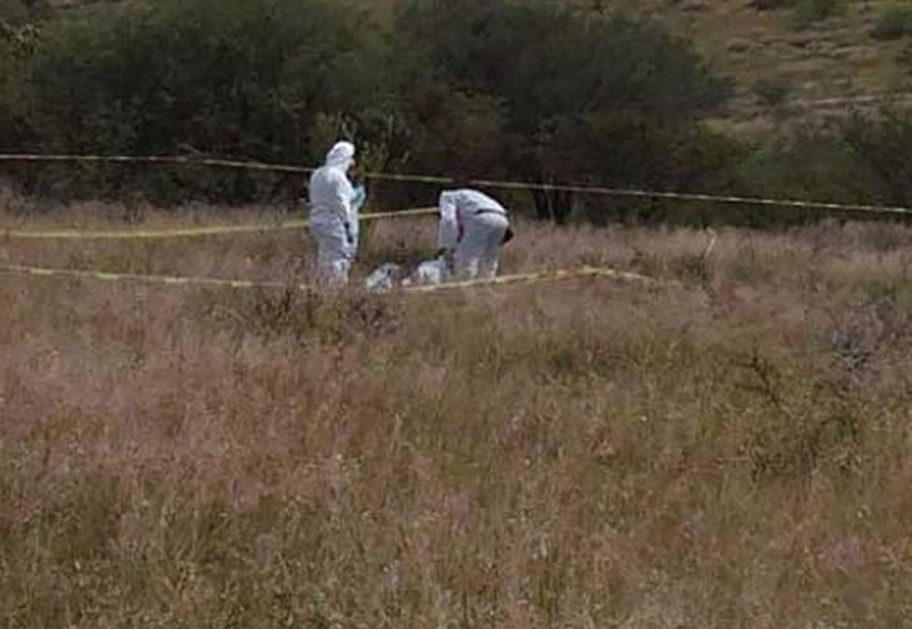 Encuentran cadáver en camino de terracería | El Imparcial de Oaxaca