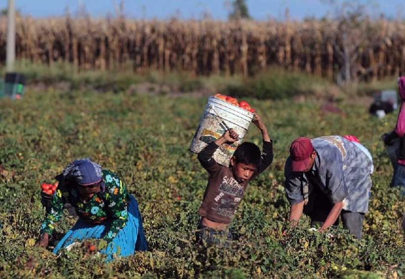 Urge defender a los jornaleros agrícolas en Oaxaca | El Imparcial de Oaxaca