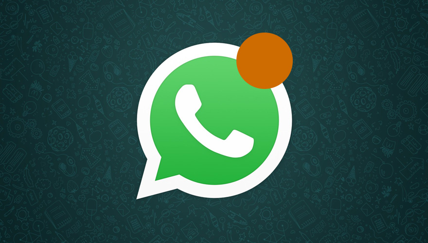 WhatsApp se actualiza con notificaciones de alta prioridad, ¿para qué servirán? | El Imparcial de Oaxaca