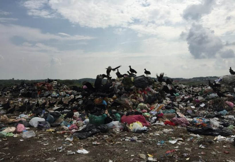 Tiran cuerpo descuartizado en basurero municipal | El Imparcial de Oaxaca