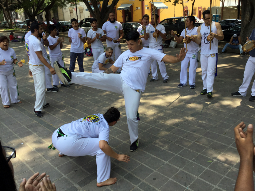 Festejan 17 años de Capoeira en Oaxaca | El Imparcial de Oaxaca