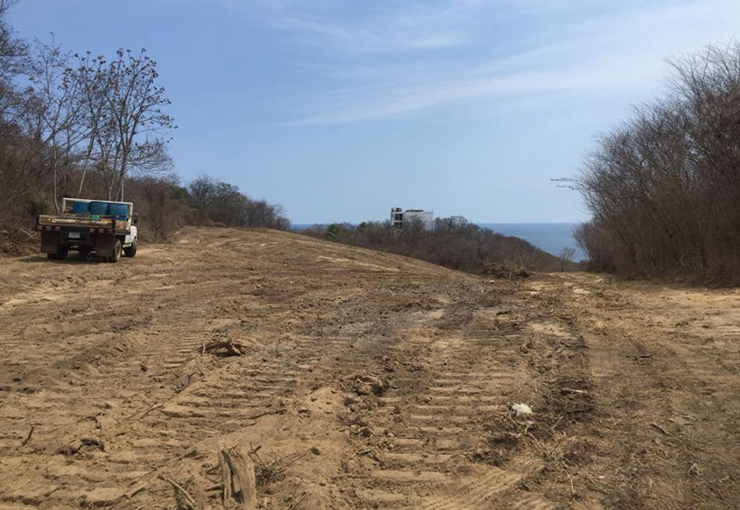 Clausuran obras en la Costa por  daños a ecosistemas | El Imparcial de Oaxaca