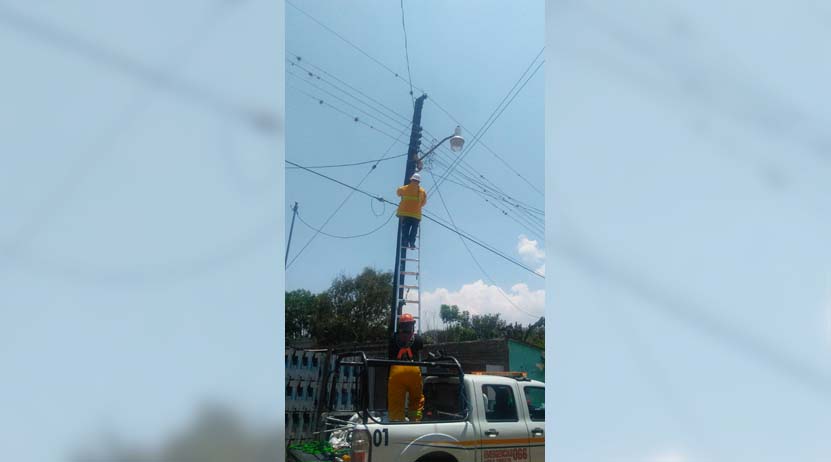 Salvan a gato de morir sobre cables de alta tensión en Zaachila, Oaxaca | El Imparcial de Oaxaca