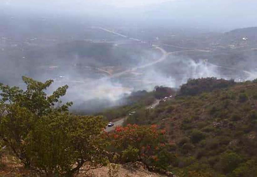 Incendios en el Istmo se han duplicado por ola de calor en 2018 | El Imparcial de Oaxaca