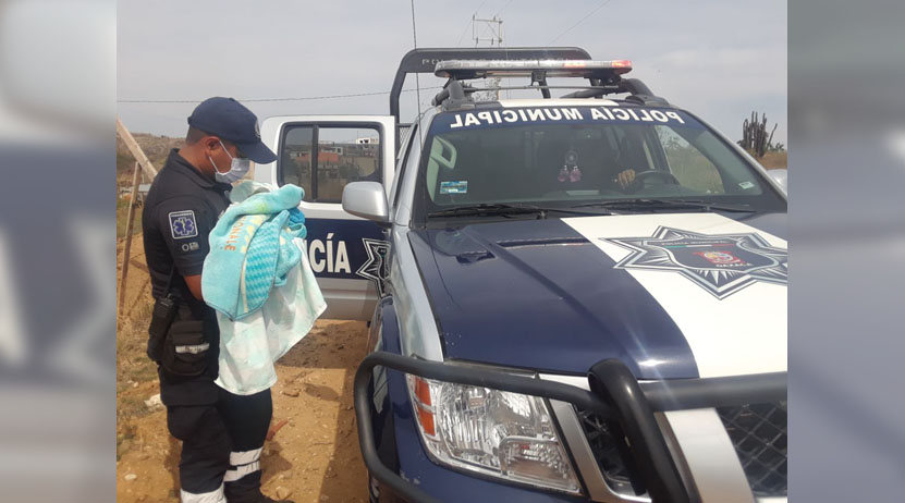 Mujer da a luz a bordo de una patrulla en Santa María Atzompa, Oaxaca | El Imparcial de Oaxaca