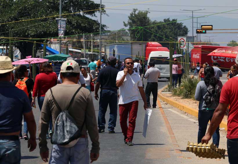 Lastima Sección 22 a IP y turismo en Oaxaca: AGEO | El Imparcial de Oaxaca