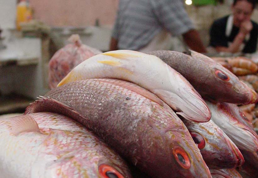 Repunta en Oaxaca actividad pesquera | El Imparcial de Oaxaca
