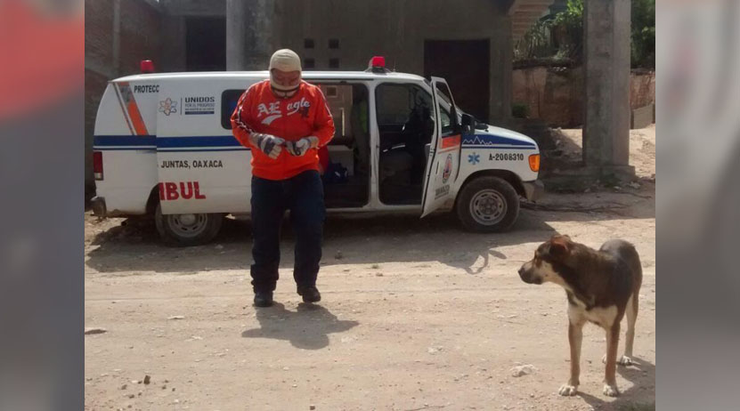 Combaten enjambre de abejas en San Agustín de las Juntas, Oaxaca