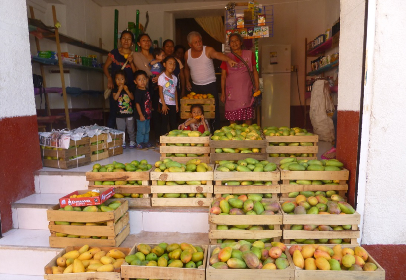 Urge apoyo del gobierno para comercialización  del mango en Cuicatlán, Oaxaca | El Imparcial de Oaxaca