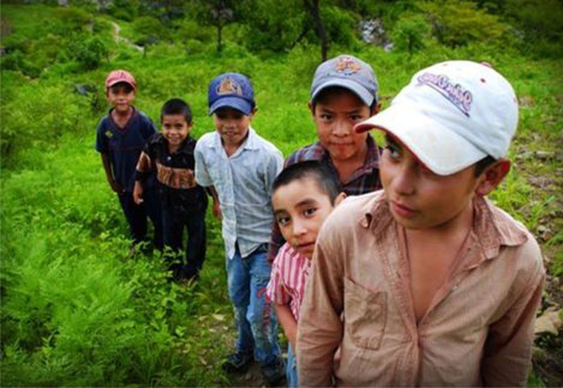 CDI e IOAM se deslindan de riesgos por migración infantil | El Imparcial de Oaxaca