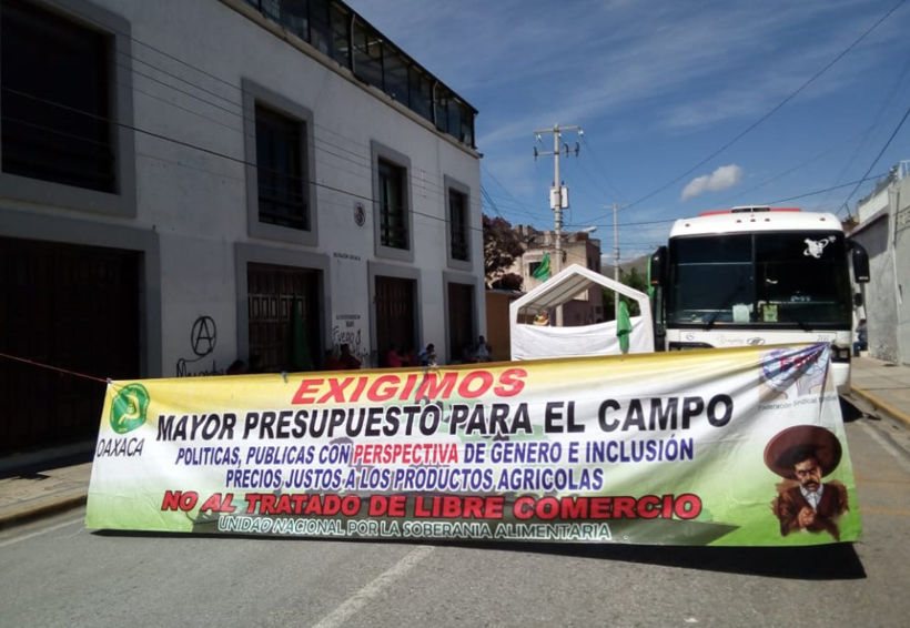 Video: Piden a Sedatu entregar apoyos para proyectos | El Imparcial de Oaxaca