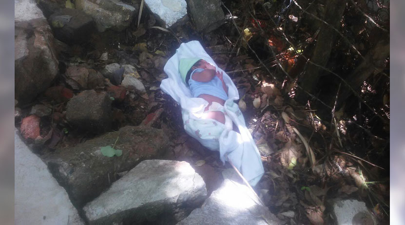 Encuentran bebé abandonado en Santa María Colotepec, Oaxaca | El Imparcial de Oaxaca