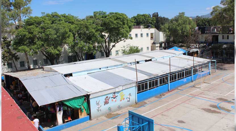 Vecinos de Ixcotel optaron soltar perros por seguridad