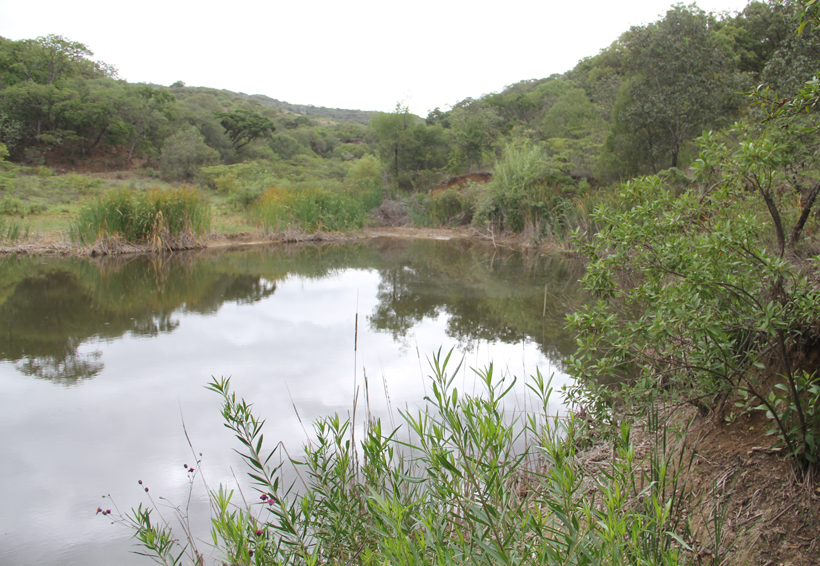 El río Atoyac, contaminado desde el origen | El Imparcial de Oaxaca