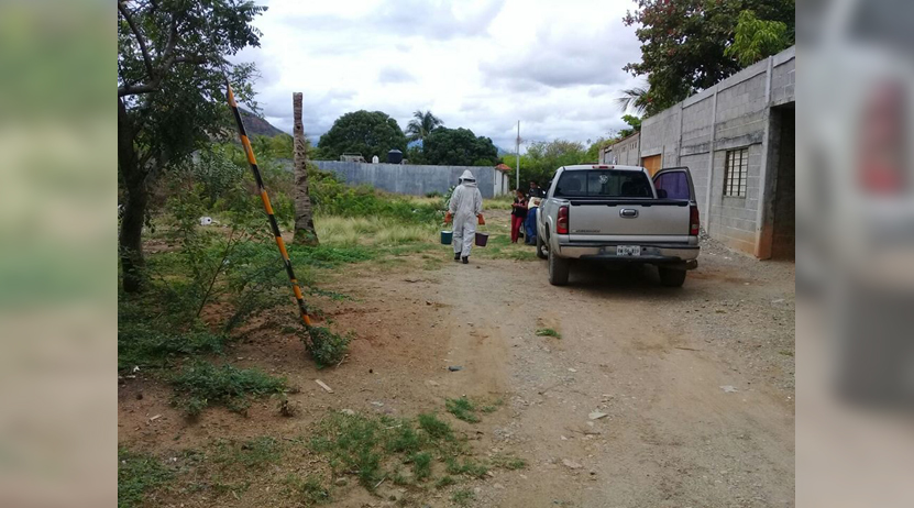 Atacan abejas a vecinos de Salina Cruz | El Imparcial de Oaxaca