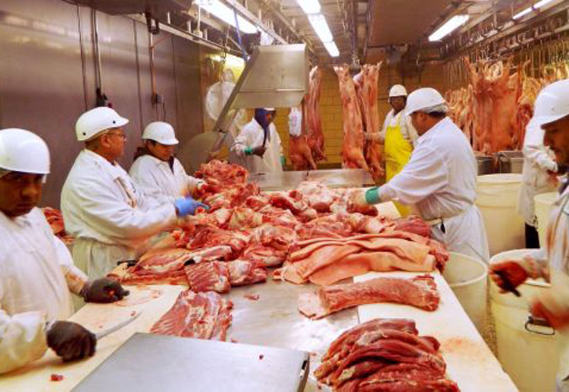Productores descartan alza en costo de carne de cerdo por aranceles | El Imparcial de Oaxaca