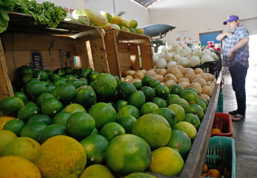 Vuelven variaciones en precios de agroproductos de consumo | El Imparcial de Oaxaca