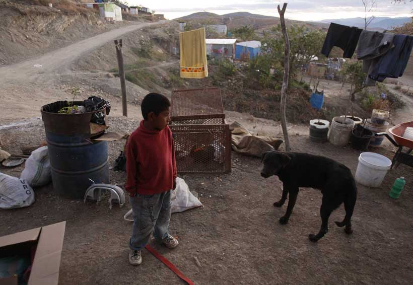 Pobreza detona consumo de drogas en Oaxaca | El Imparcial de Oaxaca