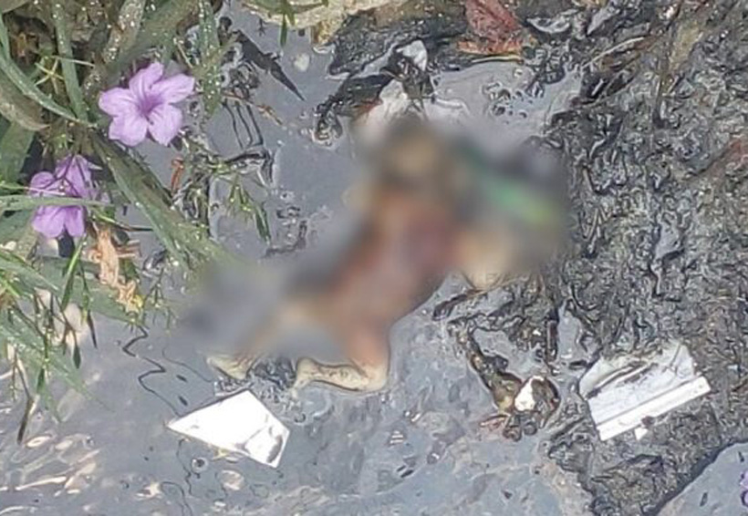 Hallan cuerpo de bebé en canal de aguas negras | El Imparcial de Oaxaca