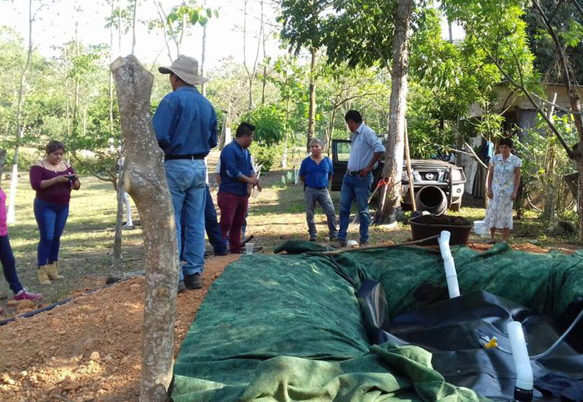 Instalan reactor para generación de biogás en la Cuenca de Oaxaca | El Imparcial de Oaxaca