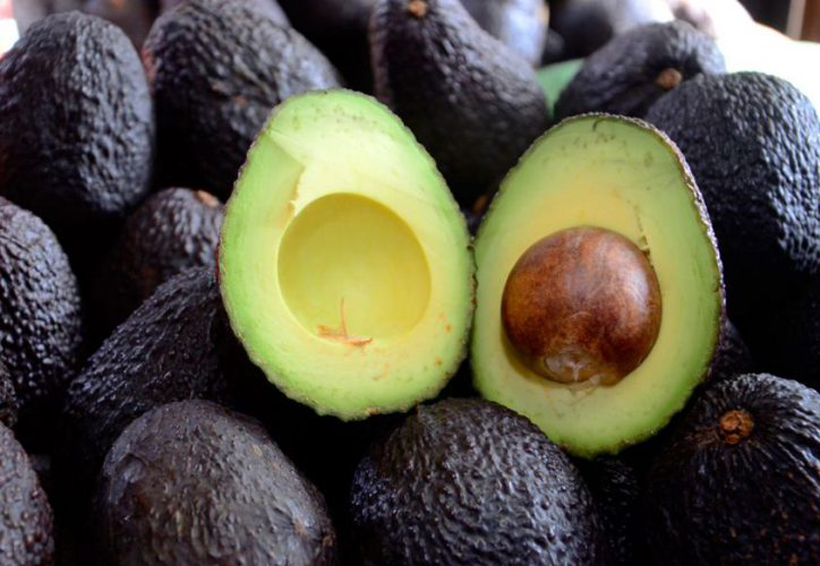 En Oaxaca se incrementa a  60 pesos el kilo  de aguacate hass | El Imparcial de Oaxaca