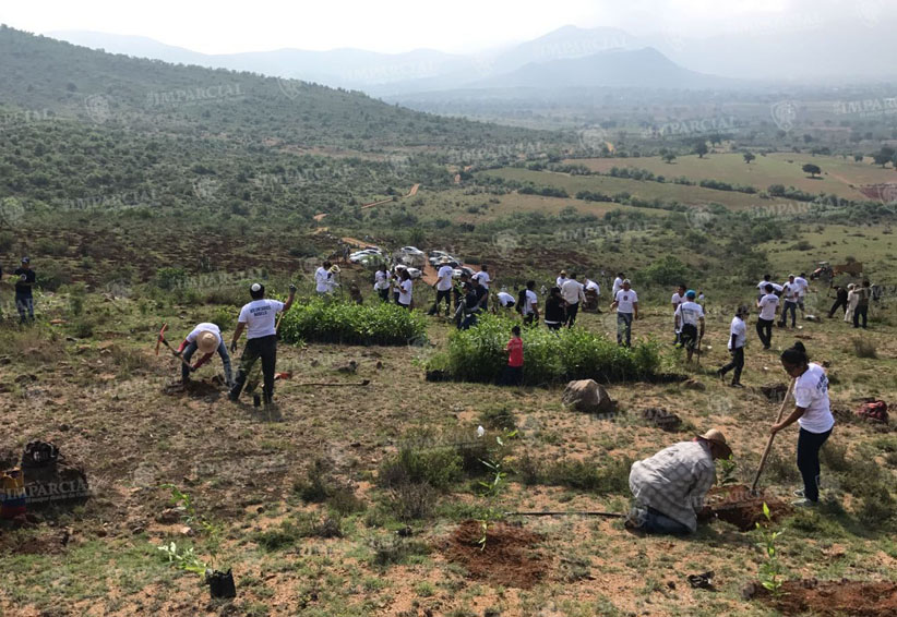 Confían cumplir con meta de reforestación en Oaxaca | El Imparcial de Oaxaca