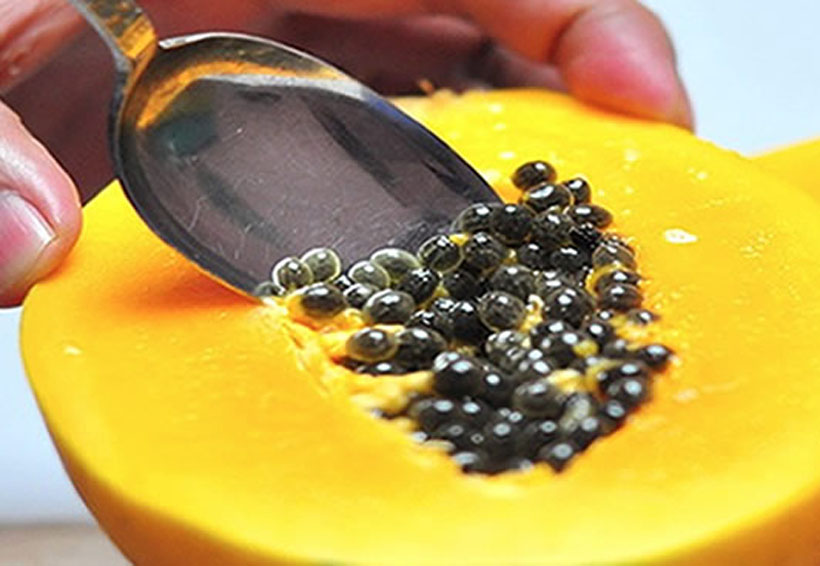 Beneficios de la semilla de papaya | El Imparcial de Oaxaca