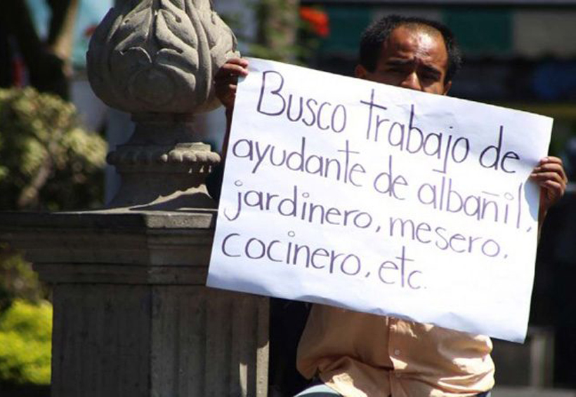 Desempleo en México, por debajo del nivel previo a crisis: OCDE | El Imparcial de Oaxaca