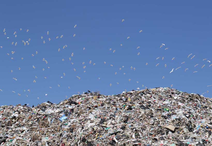 Demandan fortalecer reciclaje de residuos en Oaxaca | El Imparcial de Oaxaca