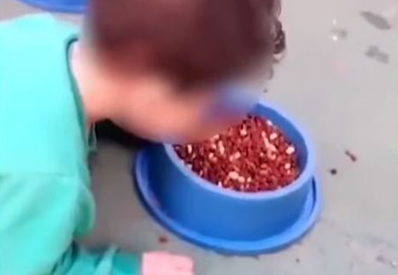 Video: Mujer hace comer alimento de perro a bebé de dos años | El Imparcial de Oaxaca