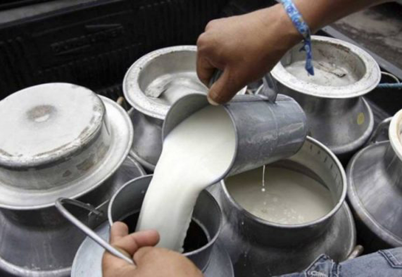 Peligros de tomar leche cruda | El Imparcial de Oaxaca