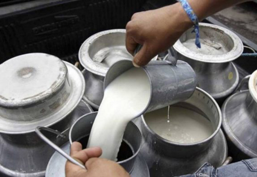 Peligros de tomar leche cruda