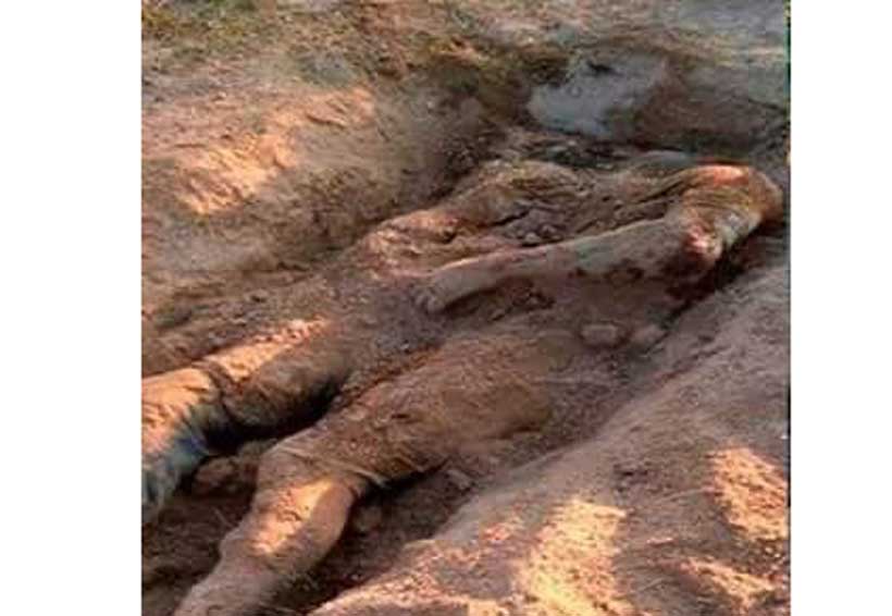Después de un mes, identifican a uno de los encontrados en fosa en Matías