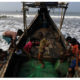 ACNUR: Más de mil 500 migrantes muertos en el Mediterráneo