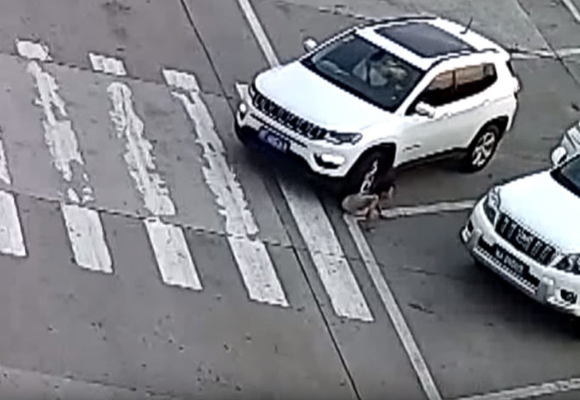 Video: Niña se agacha para atarse los cordones y un auto le pasa por encima | El Imparcial de Oaxaca