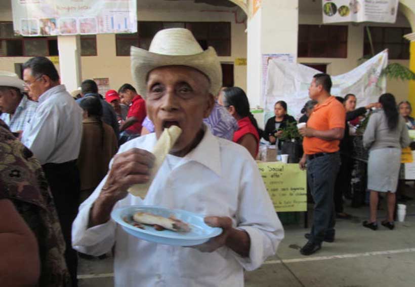 Sector Salud reconoce que los mazatecos están desnutridos | El Imparcial de Oaxaca