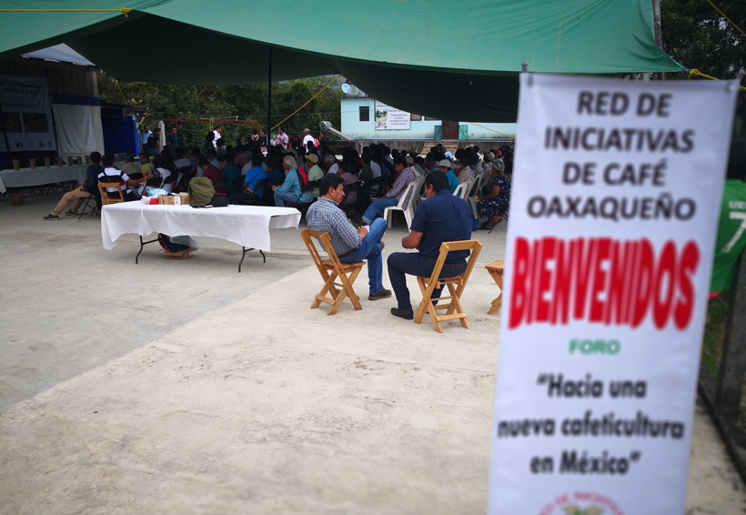 Buscan en la Costa reavivar la cafeticultura | El Imparcial de Oaxaca