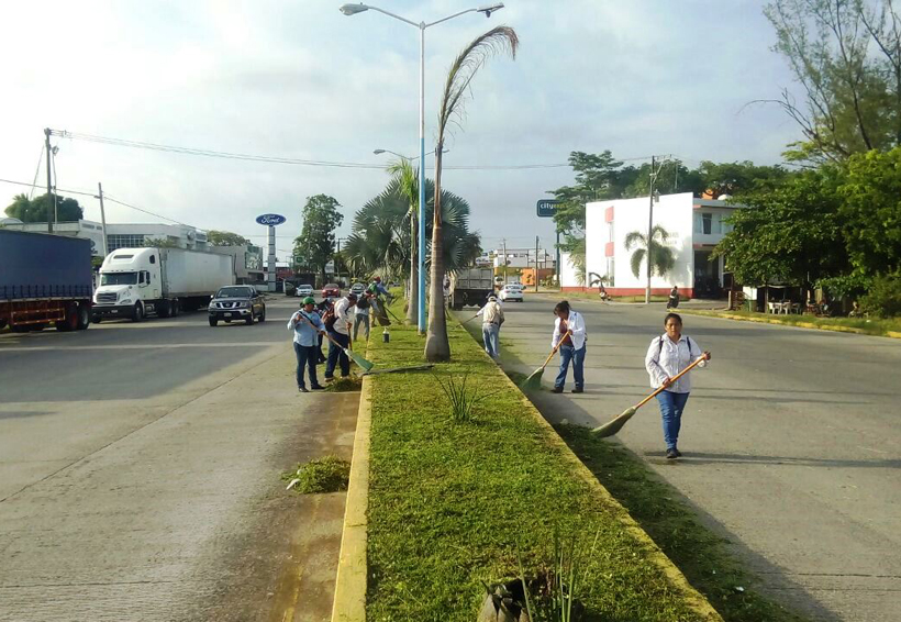Continúa mantenimiento de bulevares en Tuxtepec | El Imparcial de Oaxaca
