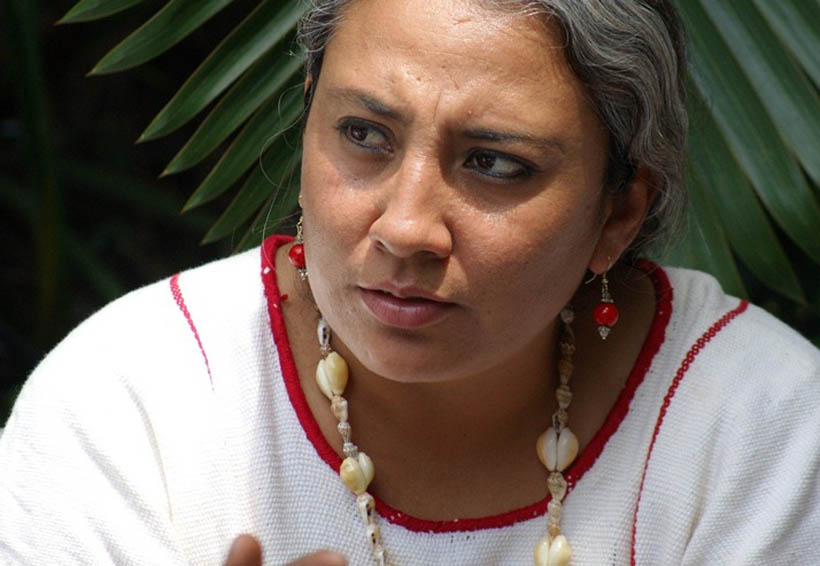 Preocupa criminalización de la defensa de derechos humanos en Oaxaca | El Imparcial de Oaxaca