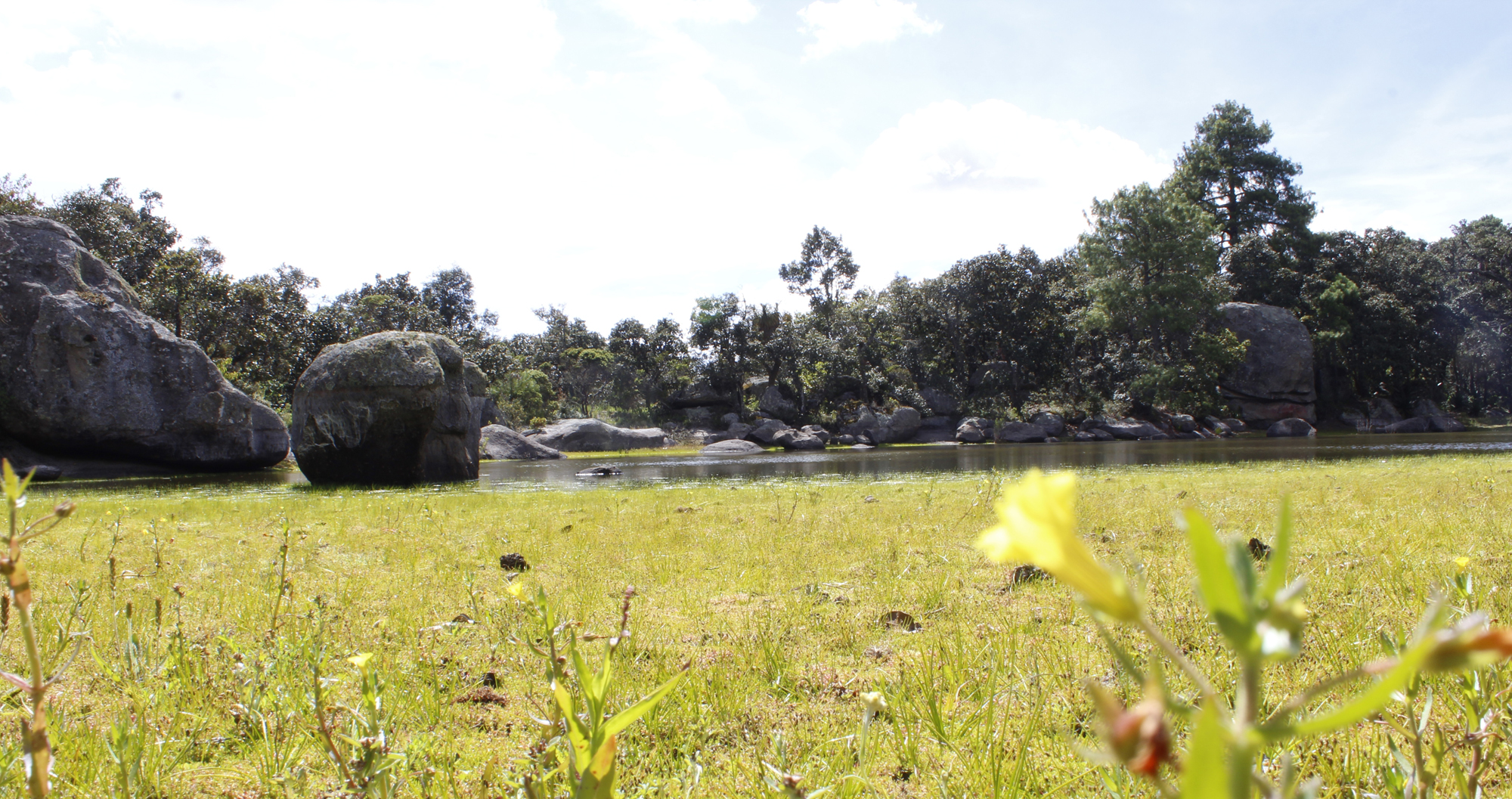 Mitla, territorio sagrado | El Imparcial de Oaxaca