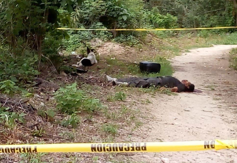 Matan a “El Gavilan” en Huatulco | El Imparcial de Oaxaca