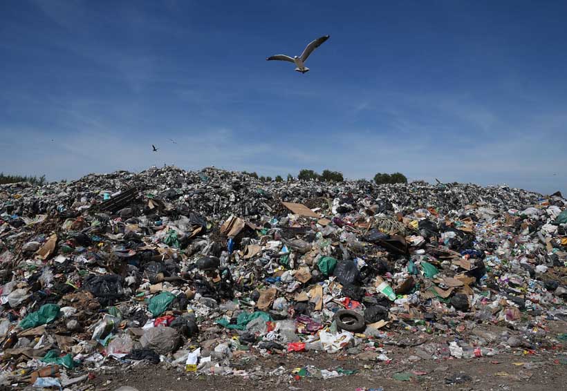 Falta de cultura para disponer de la basura | El Imparcial de Oaxaca