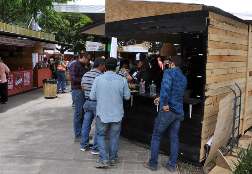 Mezcaleros reportan ventas por 3.7 mdp | El Imparcial de Oaxaca