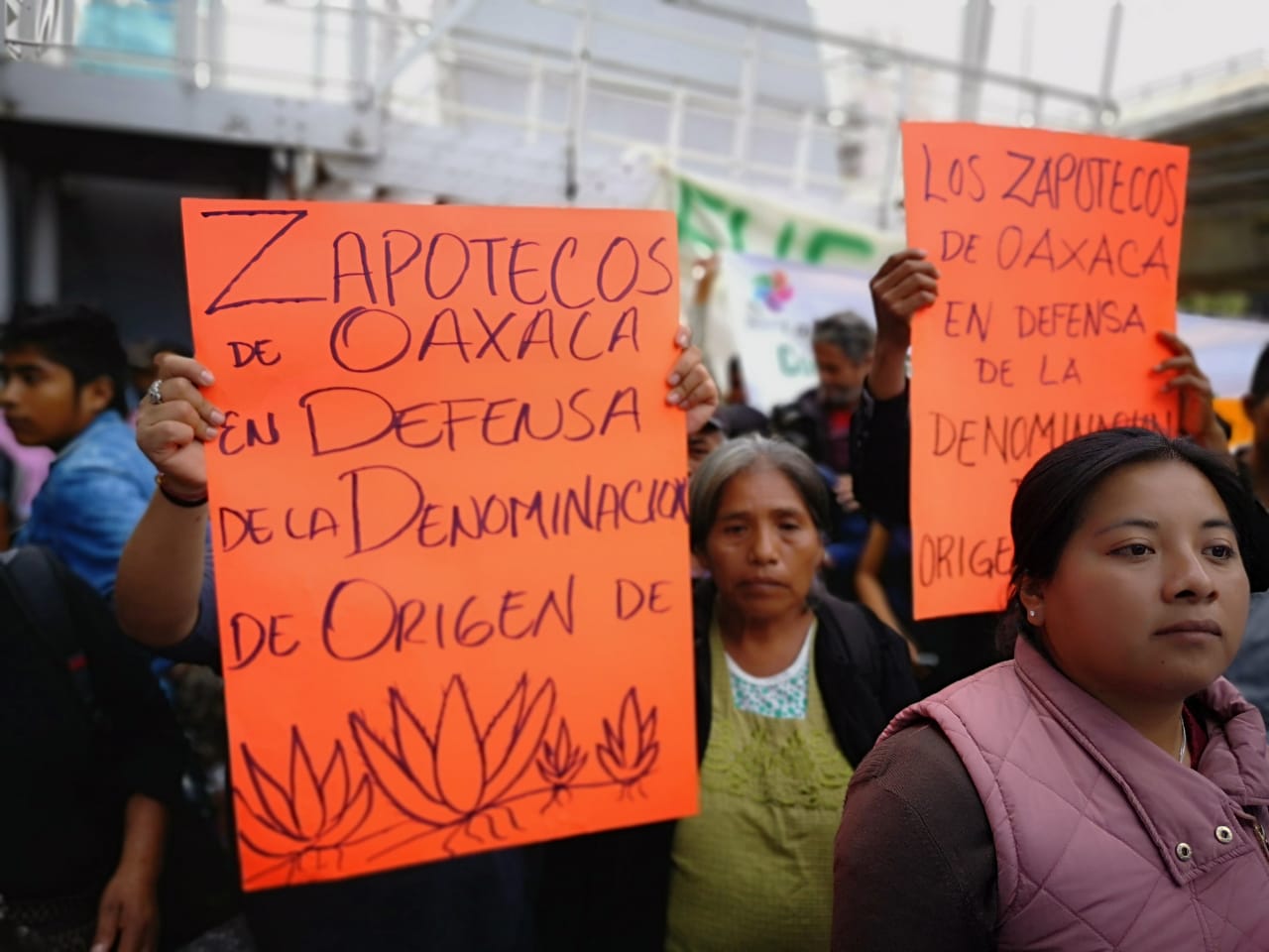 Suspende IMPI temporalmente denominación de origen a municipios no oaxaqueños | El Imparcial de Oaxaca