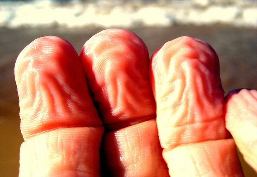 ¿Por qué se arrugan los dedos en el agua? | El Imparcial de Oaxaca