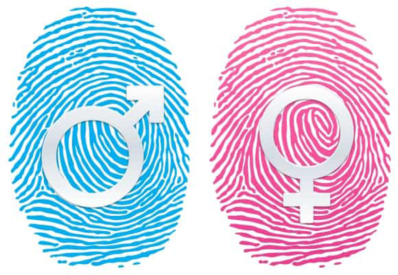 Inegi desdeña la equidad de género en México, acusan organizaciones | El Imparcial de Oaxaca