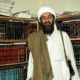 Era un niño bueno; le lavaron el cerebro: madre de Osama Bin Laden