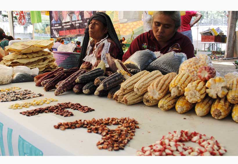 Gran riqueza genética ofrece Oaxaca: Conanp | El Imparcial de Oaxaca