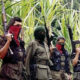 Guerrilla colombiana libera a seis secuestrados