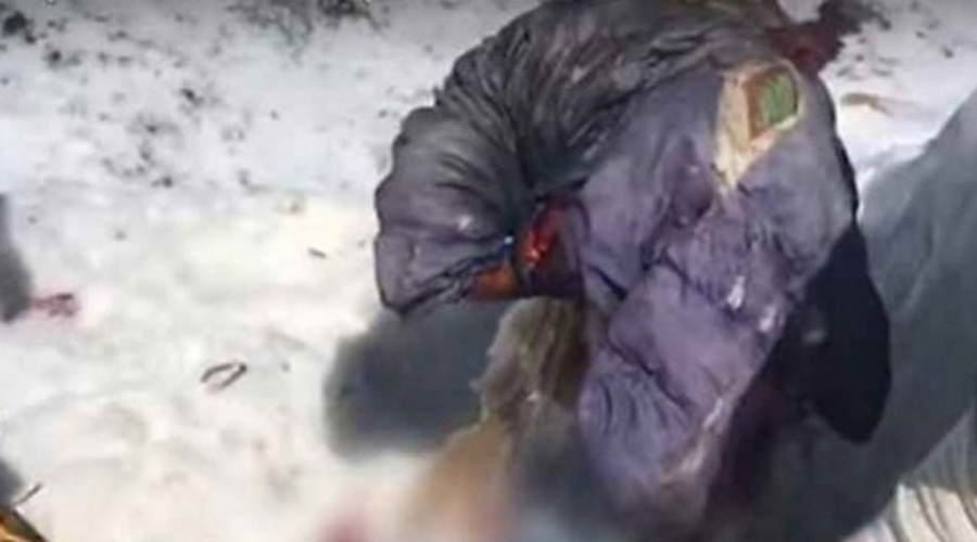 Encuentran cuerpo congelado de alpinista rusa desaparecida hace 31 años | El Imparcial de Oaxaca